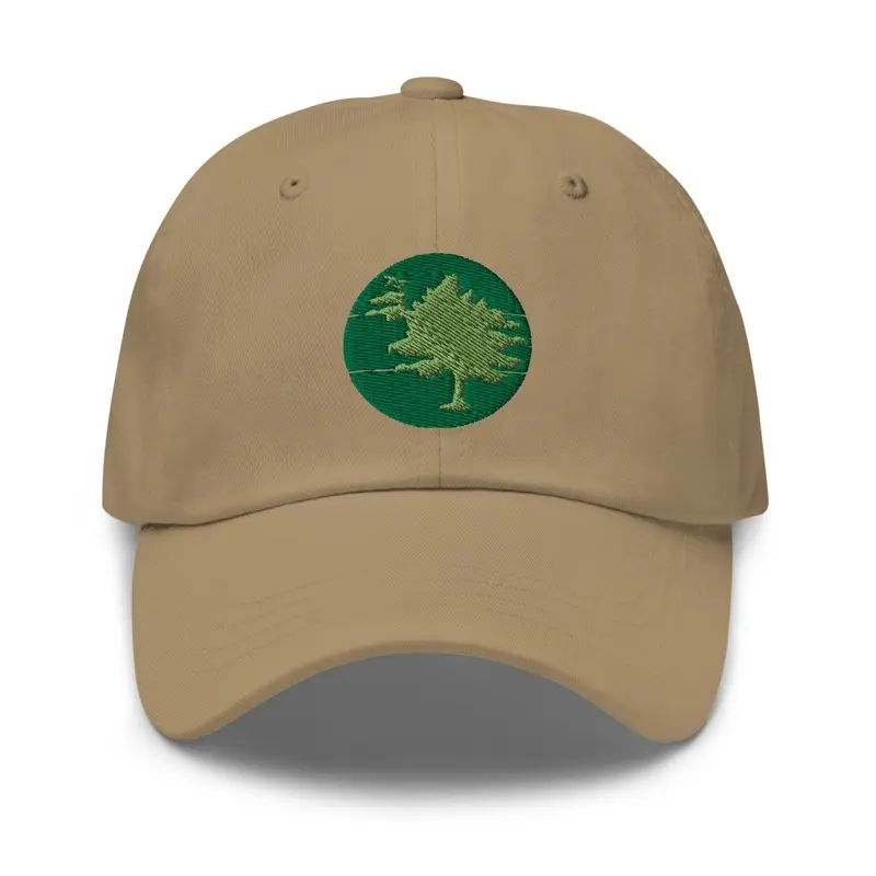 PoPville Dad Hat