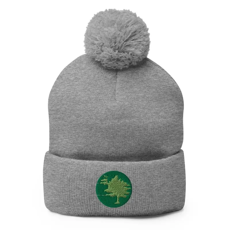 PoPville Pom Pom Knit Hat